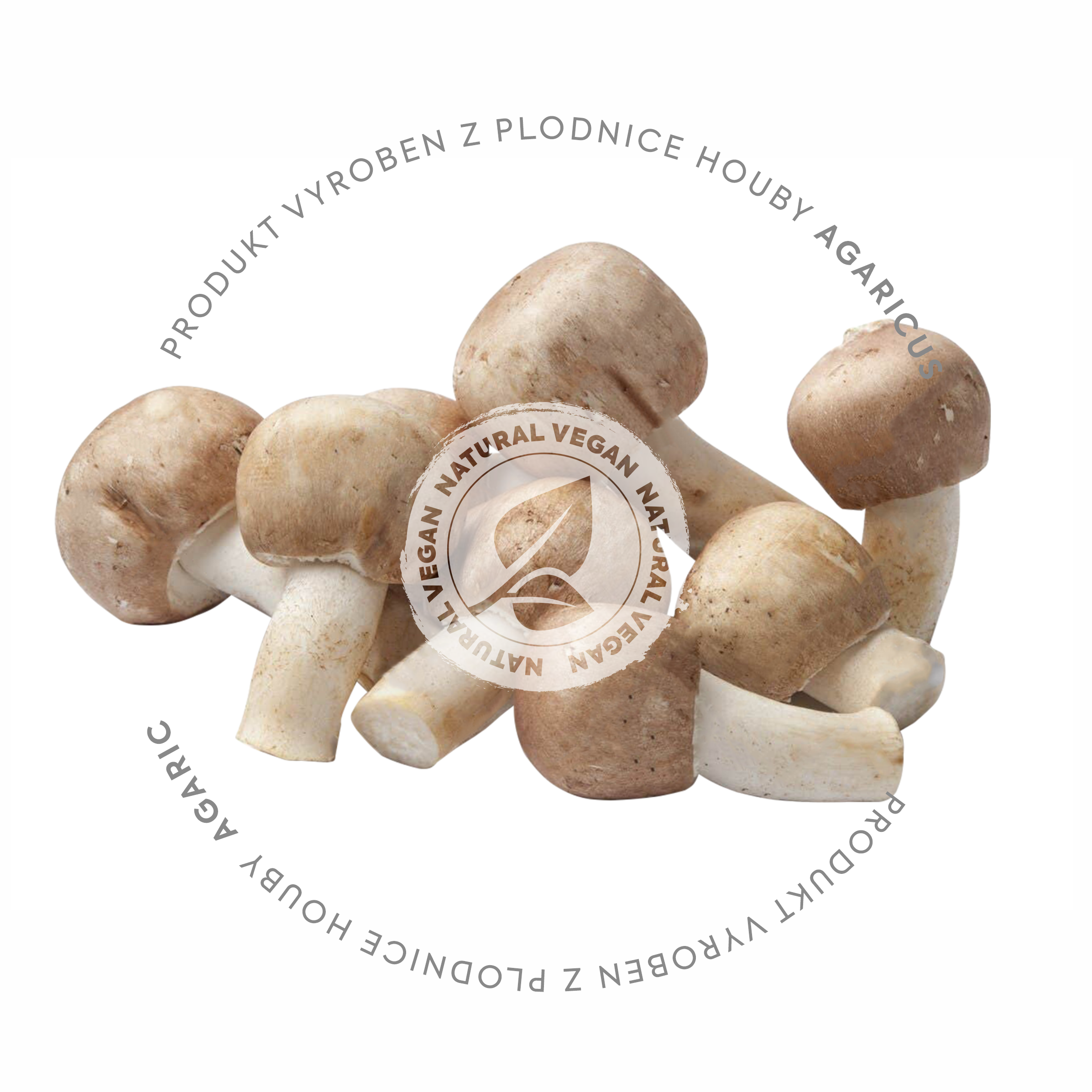 AGARICUS EXTRAKT 90 KAPSLÍ 500 mg